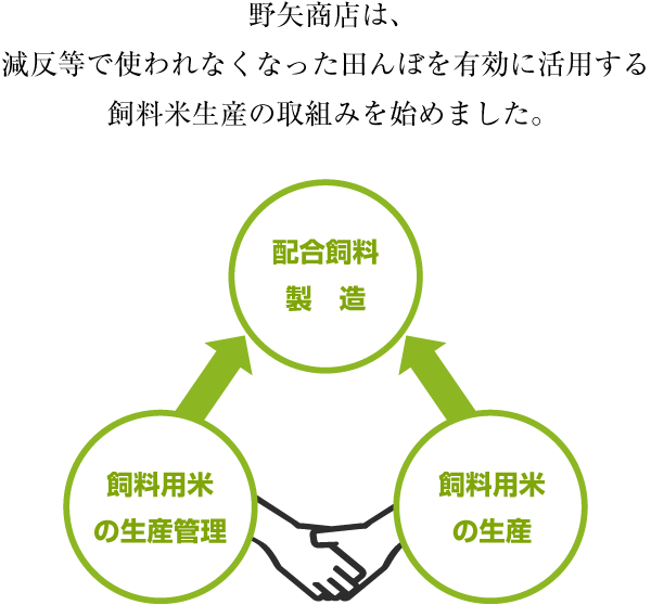 野矢商店は、減反等で使われなくなった田んぼを有効活用する飼料米生産の取り組みを始めました。「飼料用米の生産」→「配合飼料製造」←「飼料用米の生産管理」